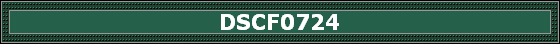 DSCF0724