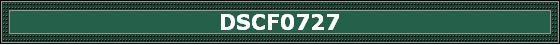 DSCF0727