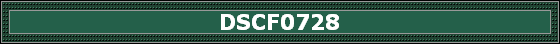 DSCF0728