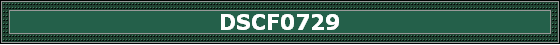 DSCF0729