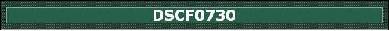 DSCF0730