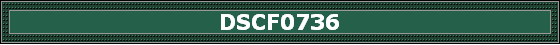 DSCF0736