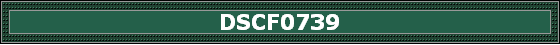 DSCF0739