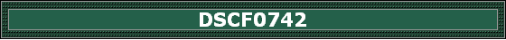 DSCF0742