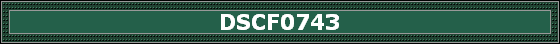 DSCF0743