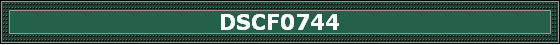 DSCF0744