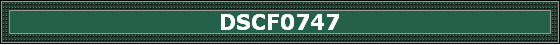 DSCF0747