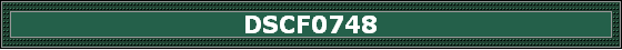DSCF0748