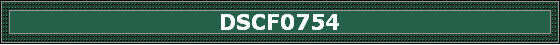 DSCF0754