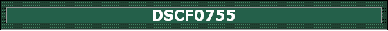 DSCF0755