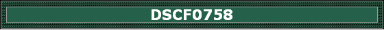 DSCF0758