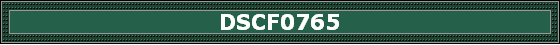 DSCF0765