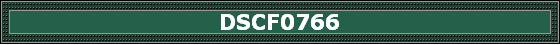 DSCF0766