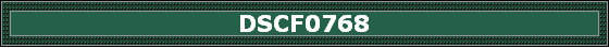 DSCF0768