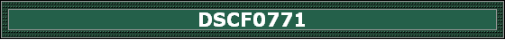 DSCF0771