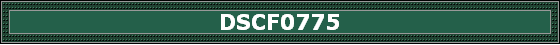 DSCF0775