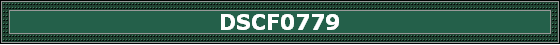 DSCF0779