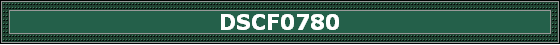 DSCF0780