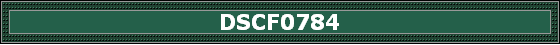 DSCF0784