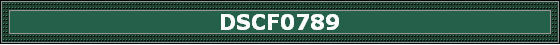 DSCF0789