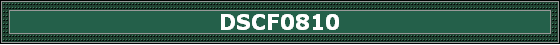 DSCF0810