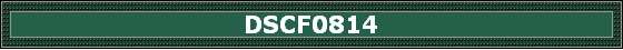 DSCF0814