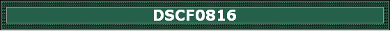 DSCF0816