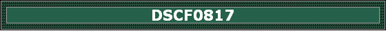DSCF0817