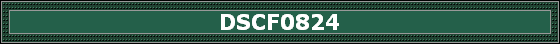 DSCF0824