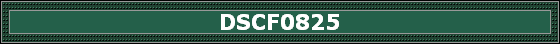 DSCF0825