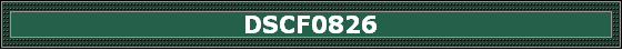 DSCF0826