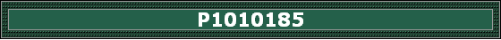 P1010185