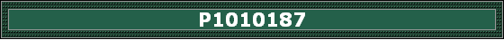P1010187