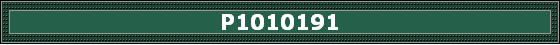 P1010191