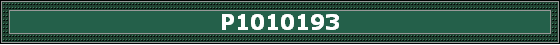 P1010193