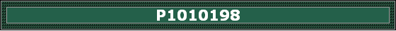 P1010198