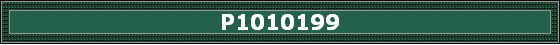 P1010199