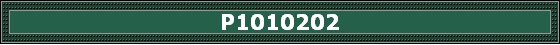 P1010202