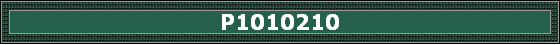 P1010210