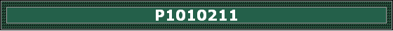 P1010211