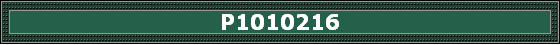 P1010216