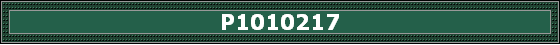 P1010217