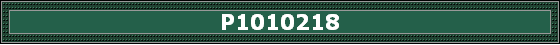 P1010218