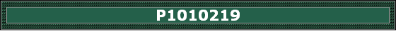 P1010219