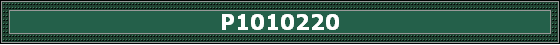 P1010220