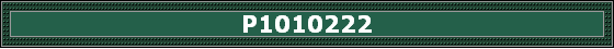 P1010222