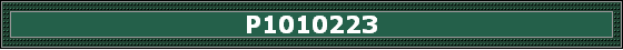 P1010223