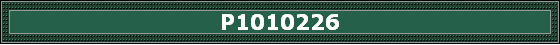 P1010226