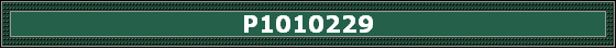 P1010229