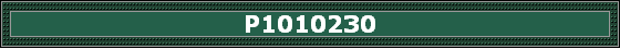 P1010230